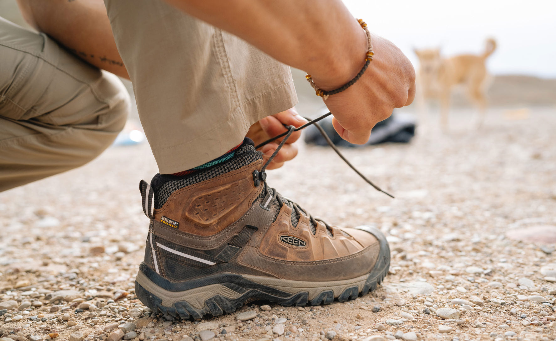 Men's Targhee III Waterproof Mid Black Olive/Golden Brown / Keen / Men's|Women's