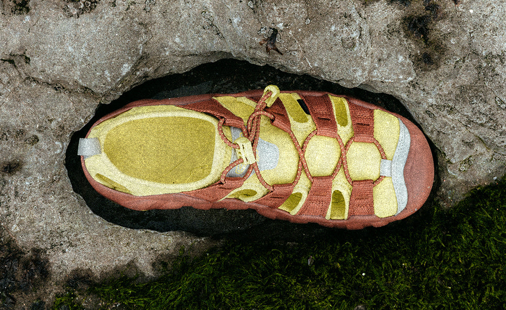 Women's Hyperport H2 Sandal x Hiking Patrol Algae Green / Keen / Women's